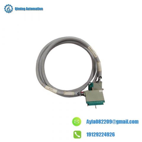 TRICONEX 4000093-310 Digital Communication Fieldbus Signal