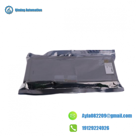 BENTLY 124761-01 Module